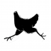 sketch-headless-chicken-logo-sketch_v1